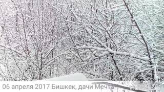 Снег 06042017 в Бишкеке