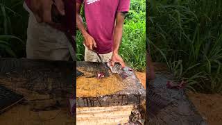 Fish Cutting Skills Amazing Tilapia Fish Cutting By Expert #shorts