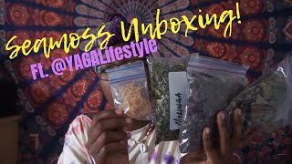 What you’ve wanted to know about SEAMOSS & my experience from @YAGALifestyle! | SeaMoss Unboxing