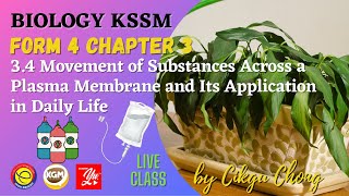 3.4  Movement of Substances Across a Plasma Membrane and Its Application in Daily Life