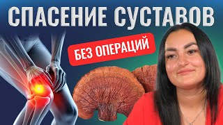 ЧТО ДЕЛАТЬ, ЕСЛИ БОЛЯТ СУСТАВЫ? | GOLDEN REISHI | КОЛЛАГЕН DR YOUNG