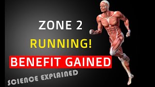 The Amazing Benefit of Zone 2 Running: Low Heart Rate, Improved Endurance