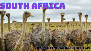 South Africa - Scenic Beauty with Relaxing Music