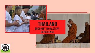 IVI Thailand Buddhist Monastery Experience