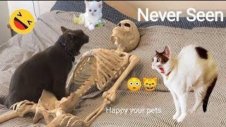 Funniest Cats And Dogs Videos 😁 - Best Funny Animal Videos 2024 🥰#20