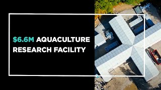 Centre for Innovative Aquaculture Hatchery- September 2023 Update