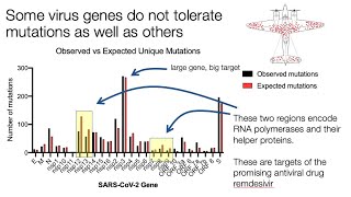 The ongoing evolution of SARS-CoV-2