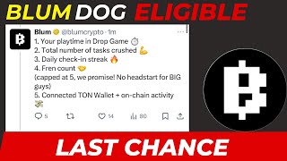 Blum Drop Dog Main Eligible Hony Ky Liye Criteria || Blum Big Update For Dogs Token ! || Blum Update