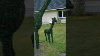 Giraffe Garten Deko selber machen DIY Topiary Art