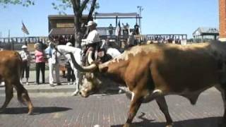 2008-4 Wendy FT WORTH STOCKYARDS(25).mov