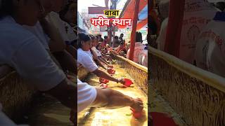 Baba garib sthan Muzaffarpur ♥️🙏 #garibsthan #shorts #dewghar #trending #vlogs #savansomwari