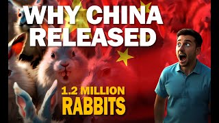 Why China released 1.2 Million Rabbits into it's Desert