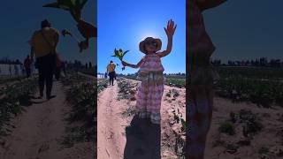 Sun Hat & Indian Dress at Texas Tulips in Pilot Point, TX. #TexasTulips #insta360 #insta360x3