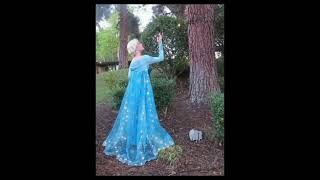 Frozen Elsa Costume Design Ideas For Women