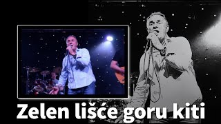 Mate Bulić – Zelen lišće goru kiti [1080p 60fps]