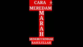 CARA MENGENDALIKAN EMOSI SAAT MARAH#SABAR#MENAHAN AMARAH