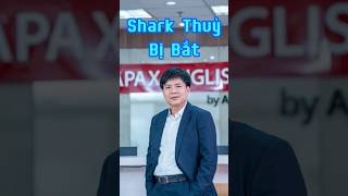 Shark Thuỷ bị bắt #sharkthuy #sharktank #apexleaders #tintuc #shortvideo #trending