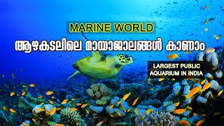 Marine world | Chavakkad | ഇന്ത്യയിലെ ഏറ്റവും വലിയ അക്വാറിയം