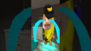 Bananacat and Video games #gmod 😺🍌