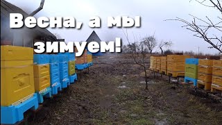 На дворе весна, а мы зимуем!