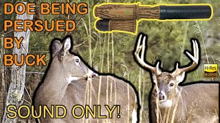 Sound Only: Doe Chased By Buck Early Rut (Play While Hunting) Deer Call