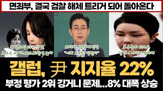 갤럽, 尹 지지율 22%..."부정평가 2위 깅거니 문제 14%...8%p 대폭 상승"