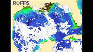 Gulf of Mexico Ocean Conditions Update - 6/14/2022