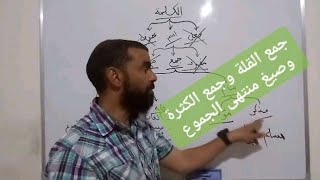 قواعد اللغة 3 أدب وفلسفة | جمع القلة وصيغ منتهى الجموع