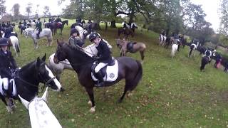 The Bray Harriers Childrens Hunt Ashford 31 Oct 2018