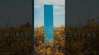 Polygraph's remix of World Of Reflections by Aalson is now available 🖤