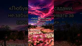 #цветысосмыслом#природа#чувства