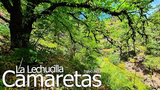 La LECHUCILLA - CAMARETAS (mayo 2021) #GranCanaria #Senderismo   #Camaretas