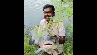 Catching a SNAKE while fishing! #shorts #bassfishing #fishing #fishingadventure #snakefish