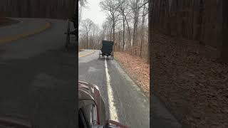 Amish horse and buggy