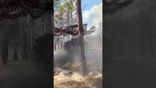 Russian artillery destroys enemy hiding places #war #military #ukraine #russia #artillery #shorts