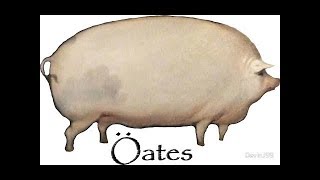 Oats of the Land