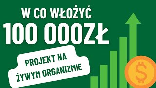 W CO ZAINWESTOWAĆ 100 000 zł? Projekt na żywym organizmie