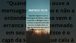 MATEUS 13: 19 | VOCÊ ENTENDE A MENSAGEM DO REINO?? #jesus #deus #cristo #senhor