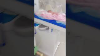 Most cute babies admint nicu 🥰#shortvideo #fashortnewborn #viralvideo #cutebaby