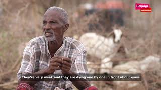 East Africa drought crisis - Kenya - Sharamo Korme