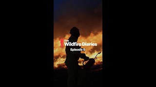 The Wildfire Diaries: Episode 5, Fabio Silva