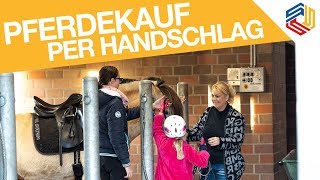 Vorsicht: Gewährleistung auch bei Privatverkauf, so verkauft ihr richtig! Pferderecht Delmenhorst