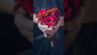 Эти цветы для тебя ⚘⚘⚘#цветыдлятебя #цветыдляженщины