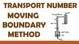 TRANSPORT NUMBER BY MOVING BOUNDARY METHOD WITH CALCULATIONS