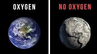 What Would Happen If The World Lost Oxygen For 30 Seconds