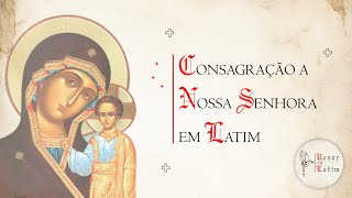 Consagração a Nossa Senhora em Latim (O Domina Mea) | Rezar em Latim