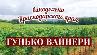 Гунько Вайнери. Винодельня Гунько. Винодельни Краснодарского края. Винный тур.