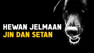 Inilah 3 Hewan Jelmaan Jin dan Setan