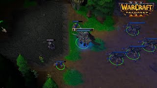 Warcraft III Reforged Beta Gameplay - Spider Rush