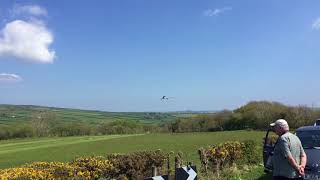 Bodmin Airfield Military Wings and Wheels Day 2018